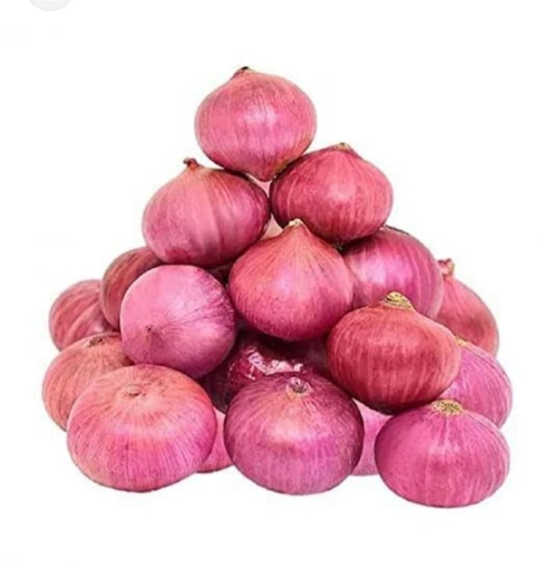 Onion ( Pyaj  ) 