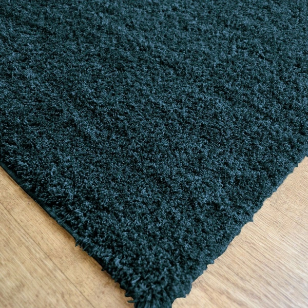 LUXE HOME INTERNATIONAL Ultra Soft Microfiber Area Rug - Non-Slip, Carpet for Living Room, Bedroom, and Home Decor - 6x9 Feet, Green