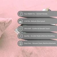 LUXE HOME INTERNATIONAL Ruffle Ultra Soft Rabbit Fur Area Rugs Anti-Skid Water Absorbant/Soaking Washable Mat For Bathroom/Entrance/Kitchen/Bedside/Door/Living-Room/Prayer Room 4x6 Feet ( Pack Of 1, Peach) - 4x6 Ft, Peach