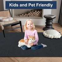 LUXE HOME INTERNATIONAL Ultra Soft Microfiber Area Rug - Non-Slip, Carpet for Living Room, Bedroom, and Home Decor - 4x6 Ft, Anthra