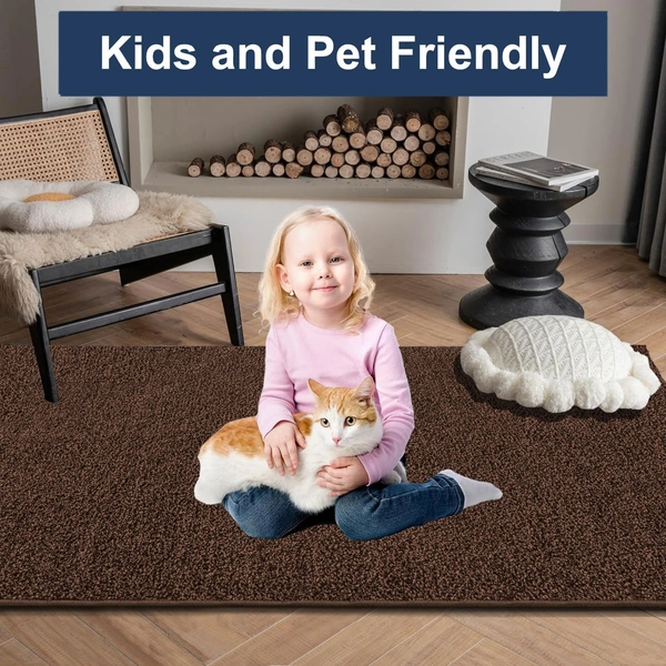 LUXE HOME INTERNATIONAL Ultra Soft Microfiber Area Rug - Non-Slip, Carpet for Living Room, Bedroom, and Home Decor - 5x7 Feet, Coffee