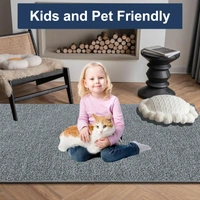 LUXE HOME INTERNATIONAL Ultra Soft Microfiber Area Rug - Non-Slip, Carpet for Living Room, Bedroom, and Home Decor - 3x5 Ft, Silver