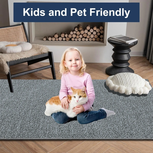 LUXE HOME INTERNATIONAL Ultra Soft Microfiber Area Rug - Non-Slip, Carpet for Living Room, Bedroom, and Home Decor - 6x9 Feet, Silver