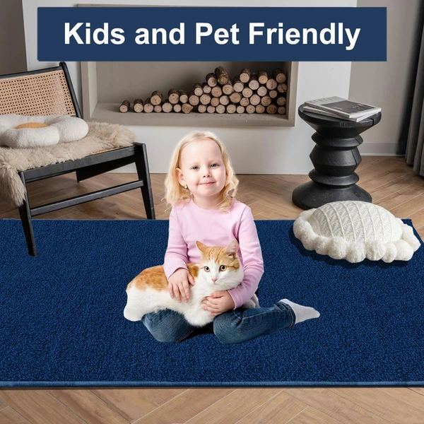 LUXE HOME INTERNATIONAL Ultra Soft Microfiber Area Rug - Non-Slip, Carpet for Living Room, Bedroom, and Home Decor - 5x7 Feet, Teal