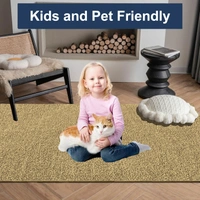 LUXE HOME INTERNATIONAL Ultra Soft Microfiber Area Rug - Non-Slip, Carpet for Living Room, Bedroom, and Home Decor - 3x5 Ft, Anti Gold