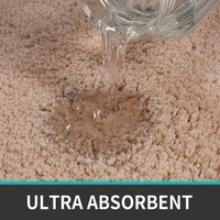 LUXE HOME INTERNATIONAL Luxe Home Runner 2800 GSM Microfiber Anti Slip Water Absorbent Machine Washable and Quick Dry Vegas Mats for Bathroom, Kitchen, Entrance ( Rust , 2x5 Ft , Pack of 1 ) - 2x5 Ft, Rust