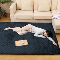 LUXE HOME INTERNATIONAL Luxe Home Carpet Austria Floor Rug Rabbit Fur 1000 GSM Living Room Foot Mats Anti Skid Water Absorbent Easy Machine Washable Rug ( Anthra , 3 Ft x 5 Ft , Pack of 1 ) - 3x5 Ft, Anthra