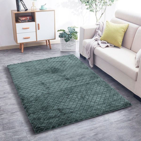 LUXE HOME INTERNATIONAL Luxe Home Carpet Austria Floor Rug Rabbit Fur 1000 GSM Living Room Foot Mats Anti Skid Water Absorbent Easy Machine Washable Rug ( Seige , 4 Ft x 6 Ft , Pack of 1 ) - Seige