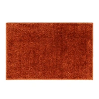 LUXE HOME INTERNATIONAL Bathmat Bostan Microfiber 1600 GSM Anti-Skid ( Rust , 38 Cm x 58 Cm , Pack of 1 ) - 40x60 cm, Rust