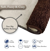 LUXE HOME INTERNATIONAL Bathmat Bostan Microfiber 1600 GSM Anti-Skid ( Coffee , 38 Cm x 58 Cm , Pack of 1 ) - 40x60 cm, Coffee