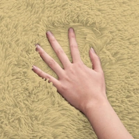 LUXE HOME INTERNATIONAL Floor Runner Marino Fur 2000 GSM Super Soft ( Gold , 2x5 Ft , Pack of 1 ) - 2x5 Ft, Gold