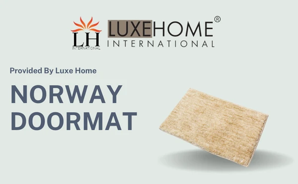 LUXE HOME INTERNATIONAL BathmatNorwayMicrofiber1600GSMAnti-Skid(Coffee,38Cmx58Cm,Packof1) - Coffee