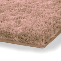 Luxe Home International LUXE HOME INTERNATIONAL Carpet Super Soft Anti Slip Vegas Rectangular Rugs For Bedroom,Livingroom(Peach,4X6 Feet) - 4x6 Ft, Peach