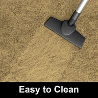 LUXE HOME INTERNATIONAL Carpet Marino Fur 2000 GSM Super Soft ( A.Gold , 3x5 Ft , Pack of 1 ) - 3x5 Ft, Anti Gold