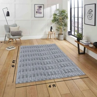 Luxe Home International Rabbit Tail Fur Carpet Super Soft, Washable, Anti Skid Carpets for Home, Bedroom, Livingroom - (4x6 Feet, Silver) - 4x6 Feet, Silver