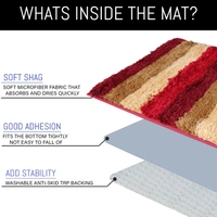 LUXE HOME INTERNATIONAL Bathmat Jaricho Microfiber 2500 GSM Anti-Skid ( 40Cm x 60Cm , Cherry , Pack of 1 ) - 40x60 cm, Cherry