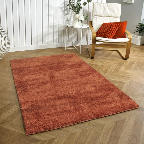 Luxe Home International Luxe Home Newman Carpets Microfiber Shaggy Carpet for Living Room, Bedroom - 3x5 Feet, Ultra Soft Non-Slip Fluffy Area Rug, Easy to Clean, Rust - 3x5 Ft, Rust