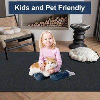 Luxe Home International Luxe Home Oman Ultra Soft Microfiber (6x9 Feet) Floor Area Rug - Anthra - Shaggy, Non-Slip, Carpet for Living Room, Bedroom Carpets for Floor, and Home Decor - 6X9, Anthra