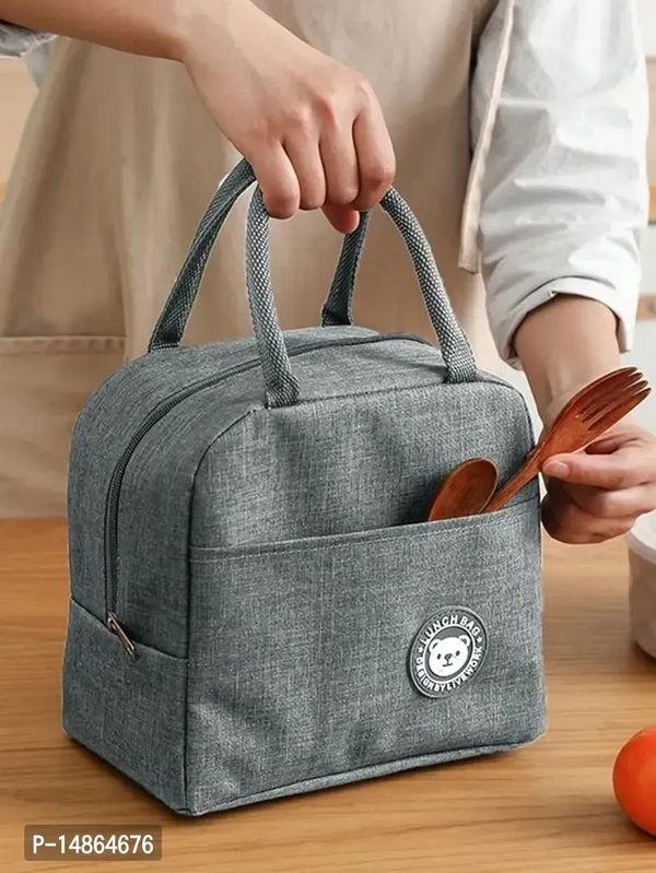 Insulated Travel Lunch/Tiffin/Storage Handbags - Gray, Free Delivery