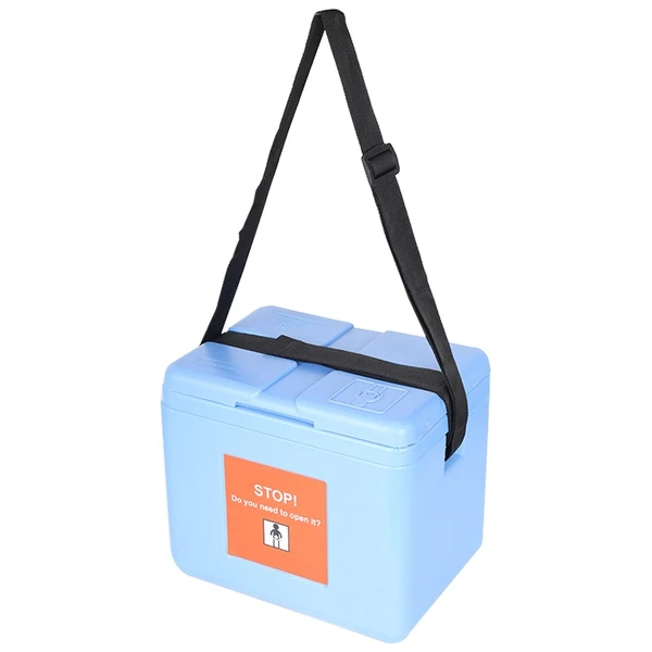 FAIRBIZPS Mini Vaccine Carrier Box with 2 Ice Pack Small Vaccine Storage Box (0.90 Ltr) Blue - BLUE