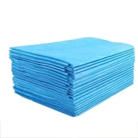 FAIRBIZPS Disposable Non-Woven Bed Sheet for Hospital, Hotel, Spa and Beauty Parlor (Blue, 70 x 78 Inch/180 x 200 cm) (Pack of 10) - 180x200 cm, Blue