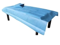 FAIRBIZPS Disposable Non-Woven Bed Sheet for Hospital, Hotel, Spa and Beauty Parlor (Blue, 31 x 70 Inch/ (80 x 180cm) (Pack of 10) - (80x180) cm, Blue