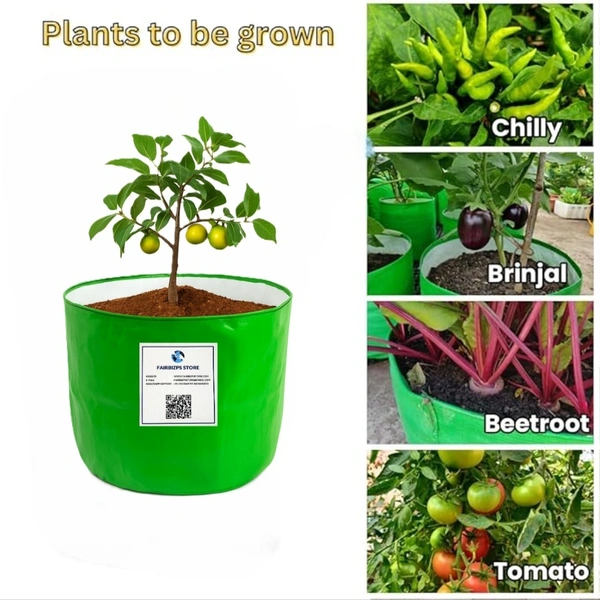 FAIRBIZPS 12x12 Grow Bags for Terrace, Balcony & Outdoor Gardening – 260 GSM HDPE Plant Pots for Vegetables, Herbs, Flowers, Fruits, Indoor and Outdoor Plants - Green