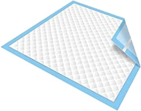 FAIRBIZPS Disposable Underpads Large Size - 10 Pcs. (60*90 CMS) Light Blue