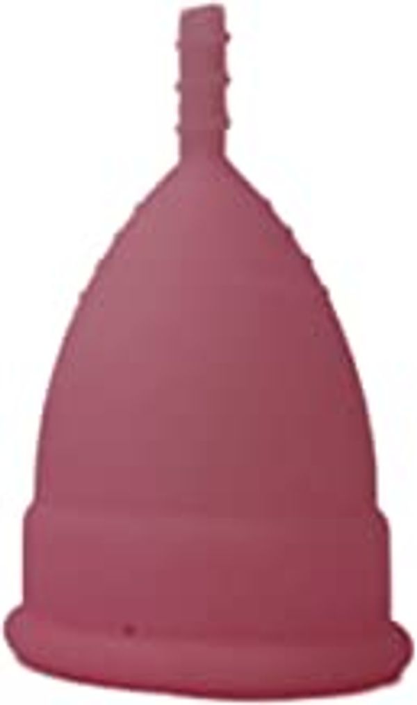 FAIRBIZPS Menstrual Cup Period Cup Reusable Ultra Soft & Flexible Medical Grade Menstrual Cup for Women (Small)