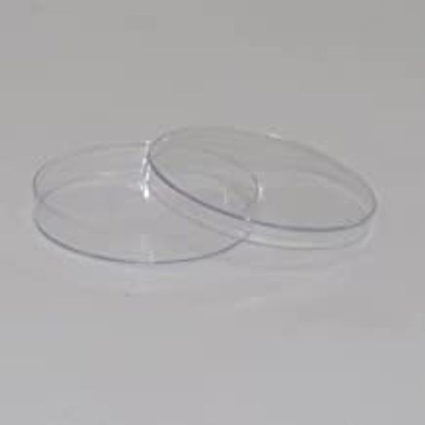 FAIRBIZPS Transparent Petri Dish Polystyrene Diameter 90mm Height 15mm (Pack of 10)