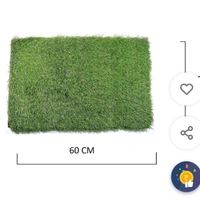 Polyester Door Mate Green Nature