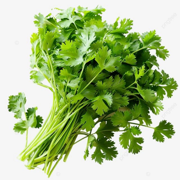 Dhaniya Coriander (1 Gadi)  
