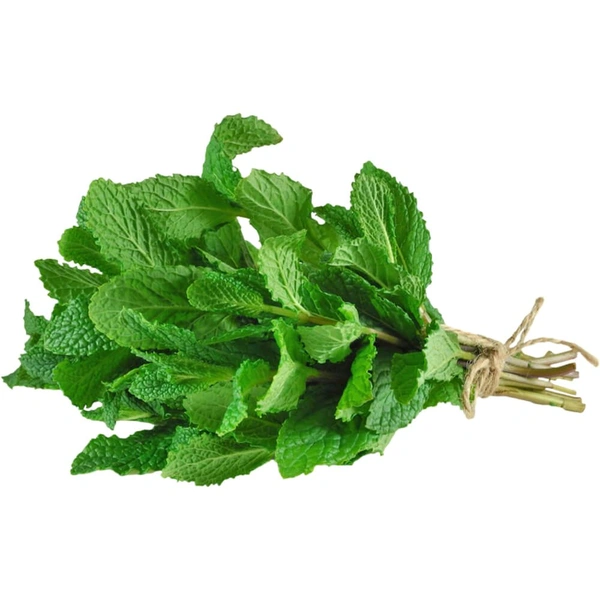 Pudina Hara (Mint Leaves)  1 Gadi