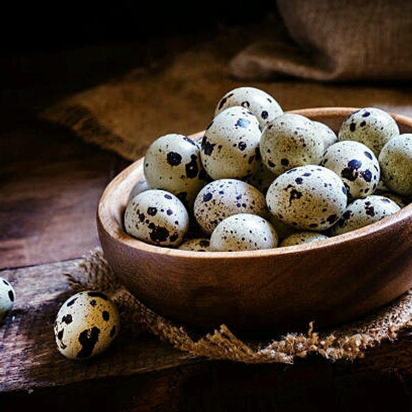 Kada Egg 20nos