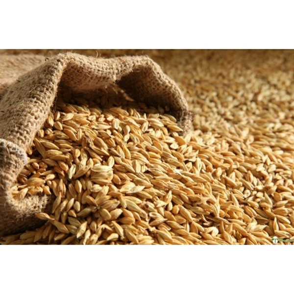 Wheat