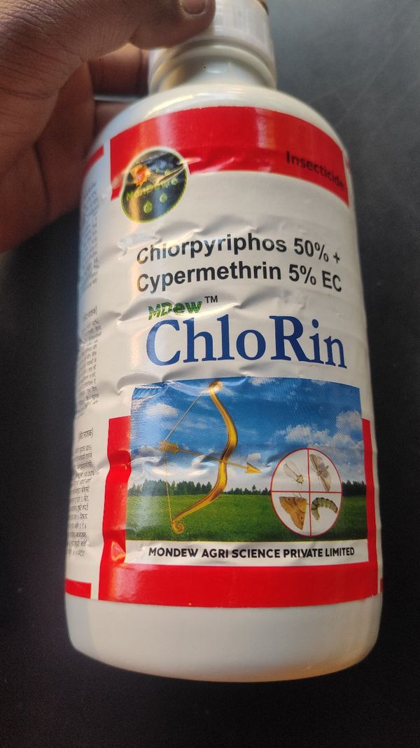 Chlorin Chlorpyriphos 50 % Cypermethrin 5 % EC