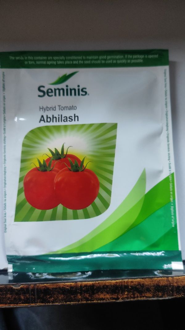 Abhilash Seminis Tomato 