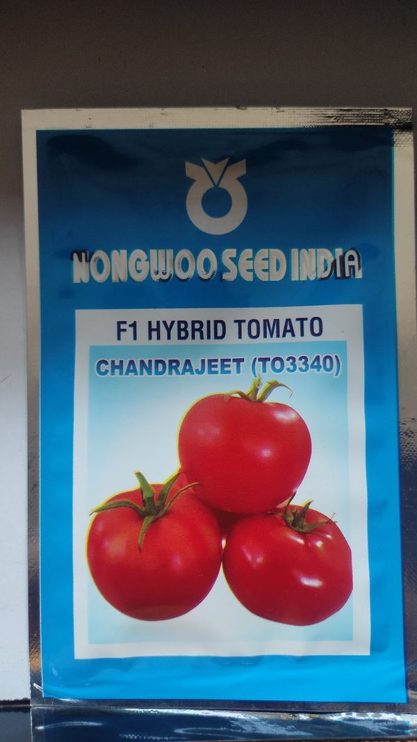 Tomato  Chandrajeet Best For All Season