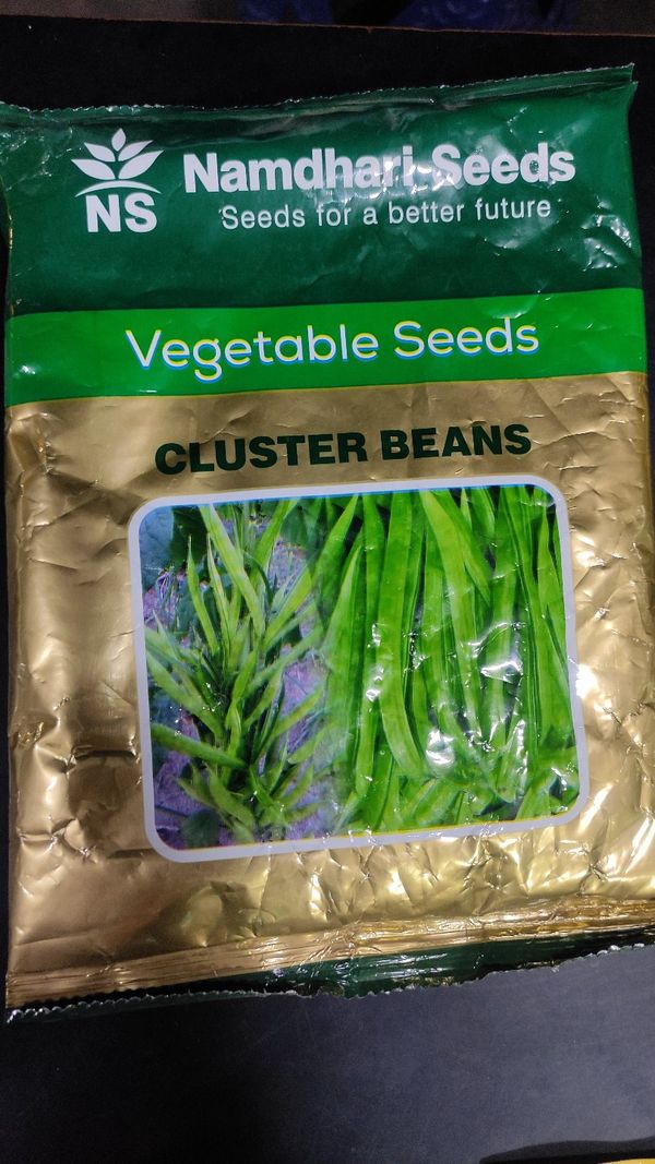 Namdhari Cluster Beans
