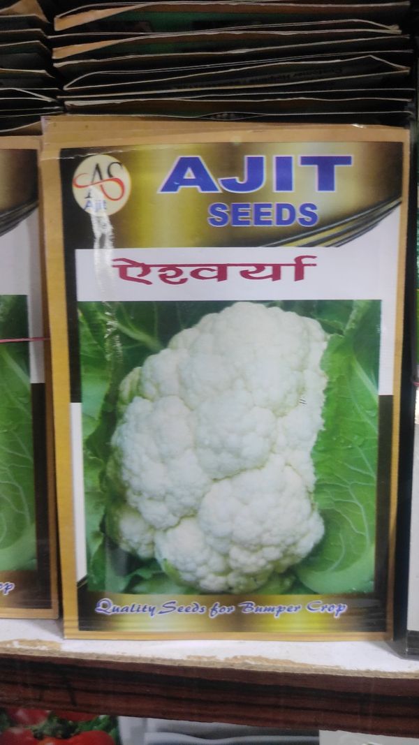 Ajit Seed Banaras Ajit Cauliflower  - White
