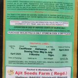 Ajit Seed Banaras Ajit Cauliflower  - White
