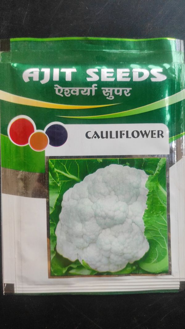 Ajit Seed Banaras Aishwarya Super Cauliflower  - White