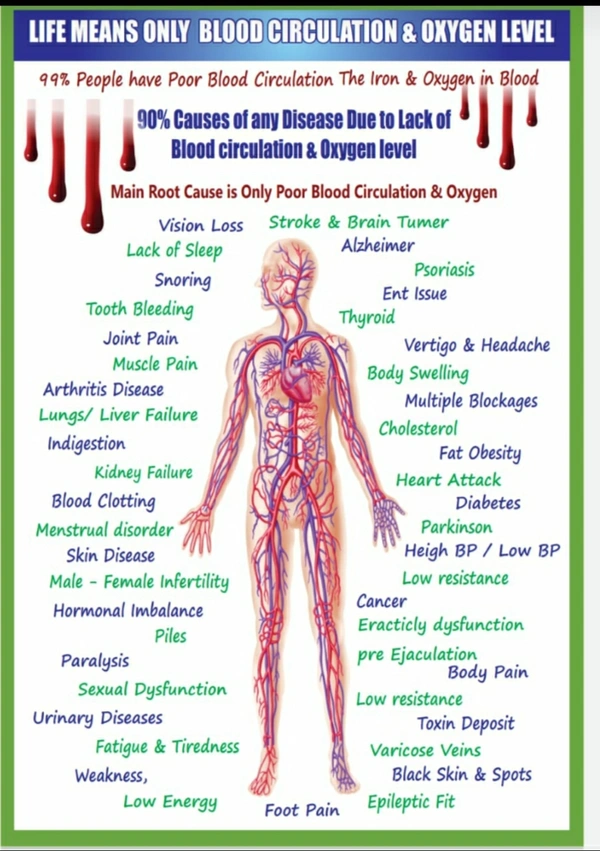 Multipurpose Healthcare Pet - Bright Red