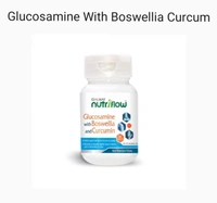 galway GLUCOSAMINE WITH BOSWELLIA CURCUM - 1 botl