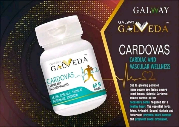 Galway  DAILY VITAL MULTI VITAMIN - 1botle