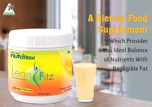 galway Leanfitz Protein Drink Mix - 500gm