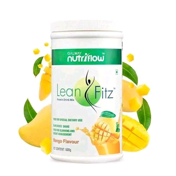 galway Leanfitz Protein Drink Mix - 500gm