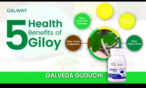 galway Guduchi Galway  - 60 Pcs tablet