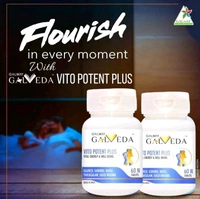 Galway Vito Potent Plus Tablet - 60 tablets
