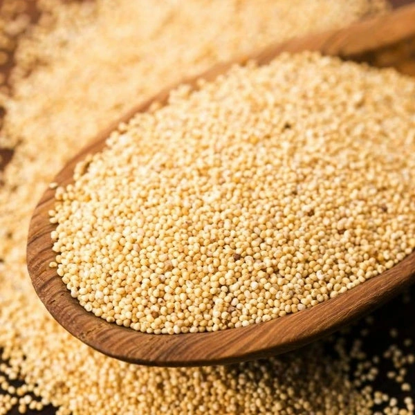 Poppy Seeds ( Posto )